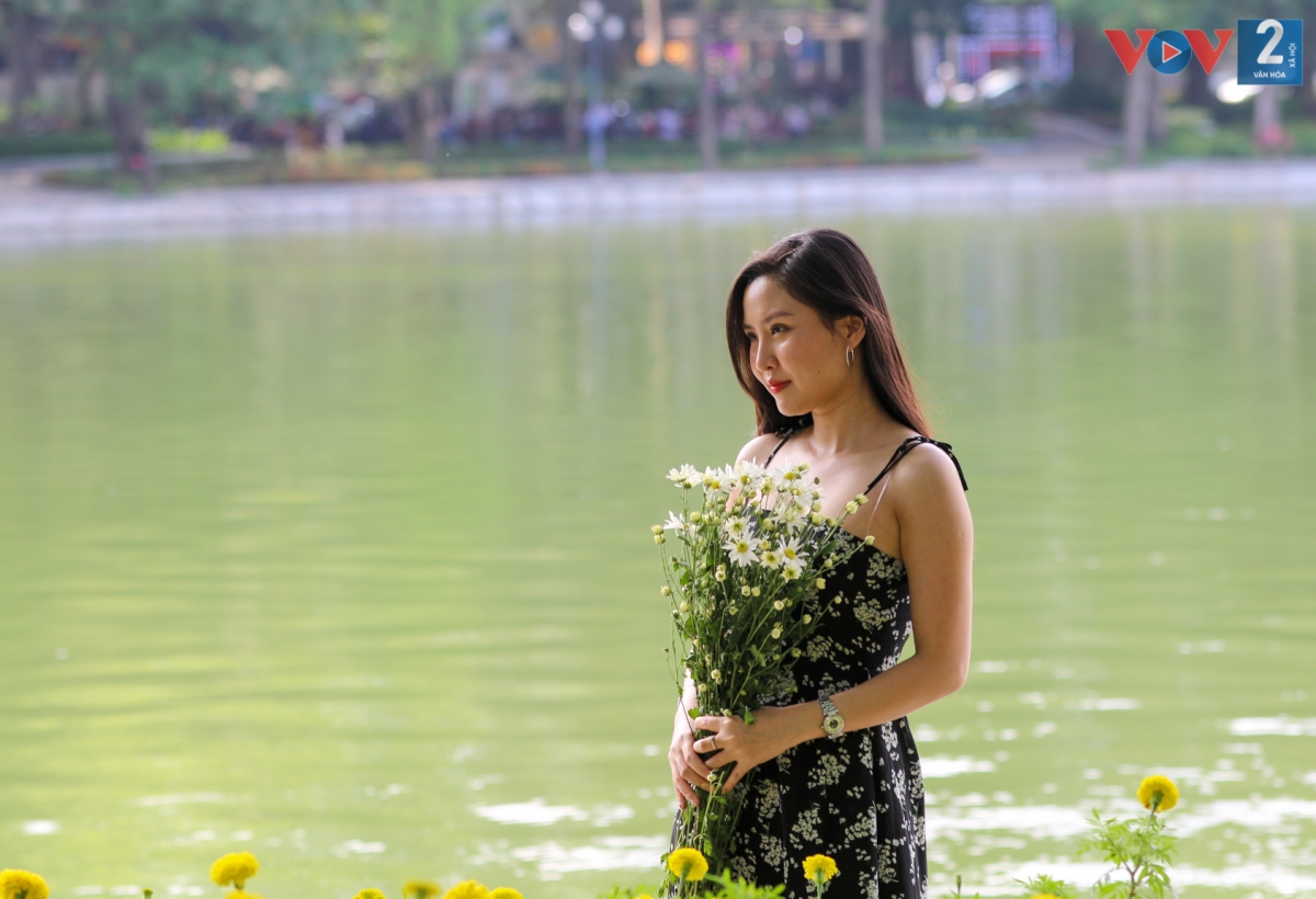 Nhiều bạn trẻ check-in bên bó cúc họa mi cùng nắng sớm đầu đông.