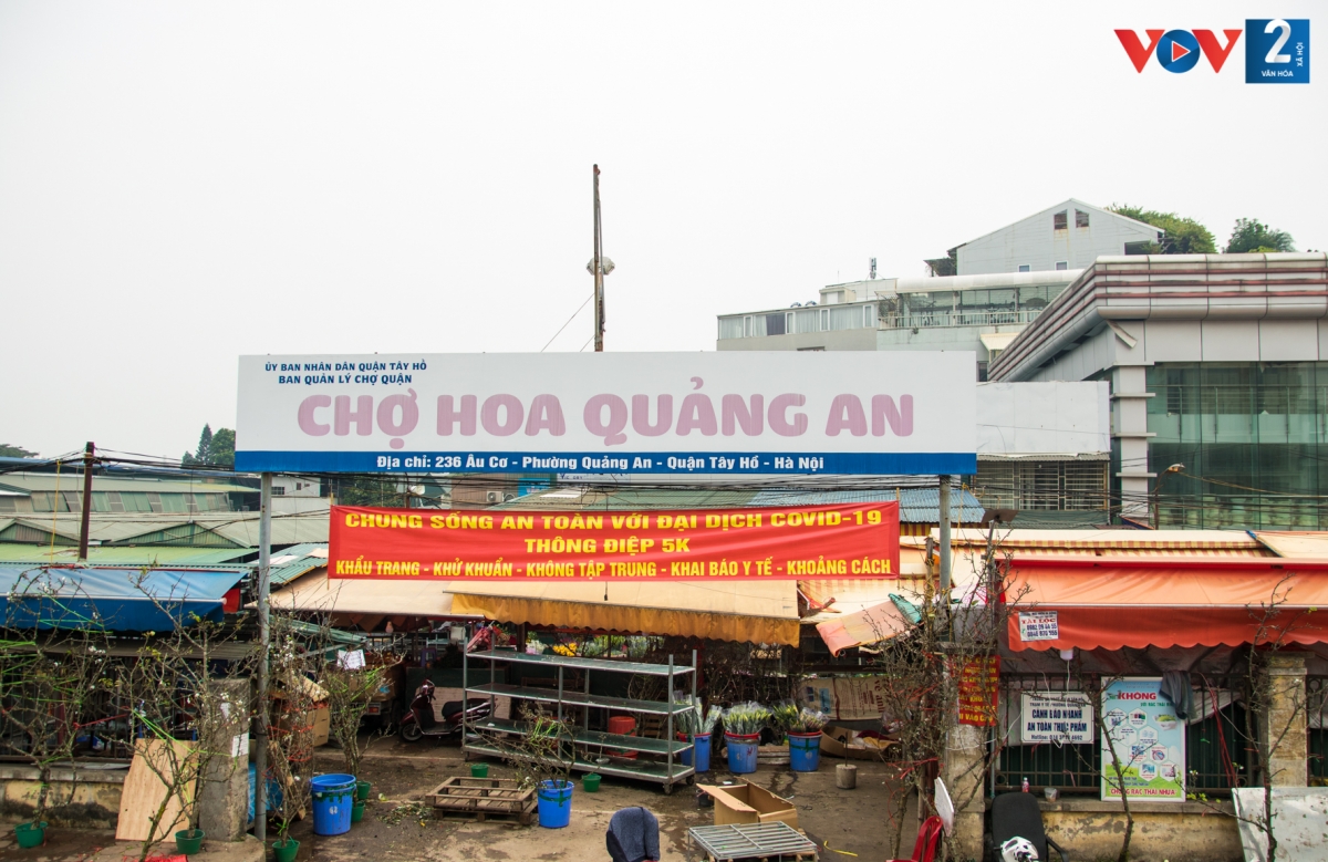 Ghi nhận của phóng viên tại chợ hoa Quảng An (quận Tây Hồ), một trong những chợ đầu mối hoa tươi lớn nhất thành phố, hoa về chợ khá phong phú, tuy nhiên giá nhiều loại hoa tăng cao so với ngày thường.