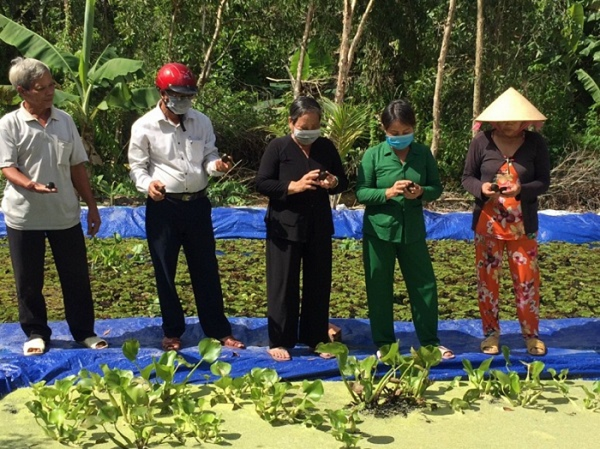 CCB Hoàng Hà thăm mô hình nuôi ốc bươu đen của người dân địa phương