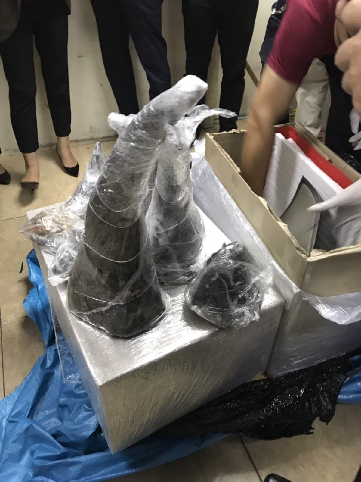 Cơ quan chức năng cần tập trung hơn nữa các nguồn lực để điều tra, xử lý các đối tượng đứng sau các lô hàng hàng tấn ĐVHD bị vận chuyển trái phép qua đường biển và hàng không về Việt Nam mỗi năm