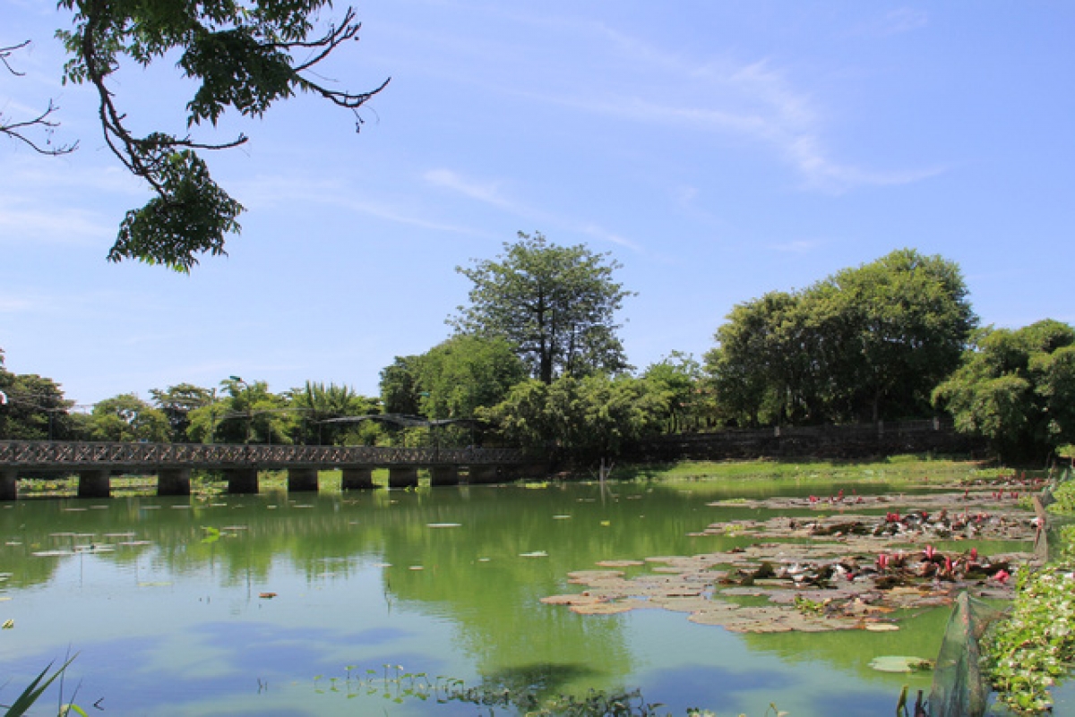 Hồ Tịnh Tâm