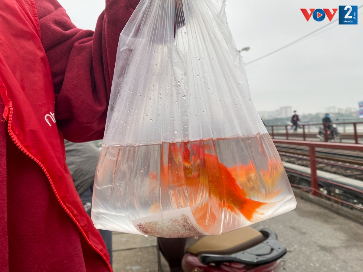 Ai nấy tin rằng, Táo quân cưỡi cá chép bay về trời để báo cáo Ngọc Hoàng những việc gia chủ đã làm và chưa làm được trong năm vừa qua.