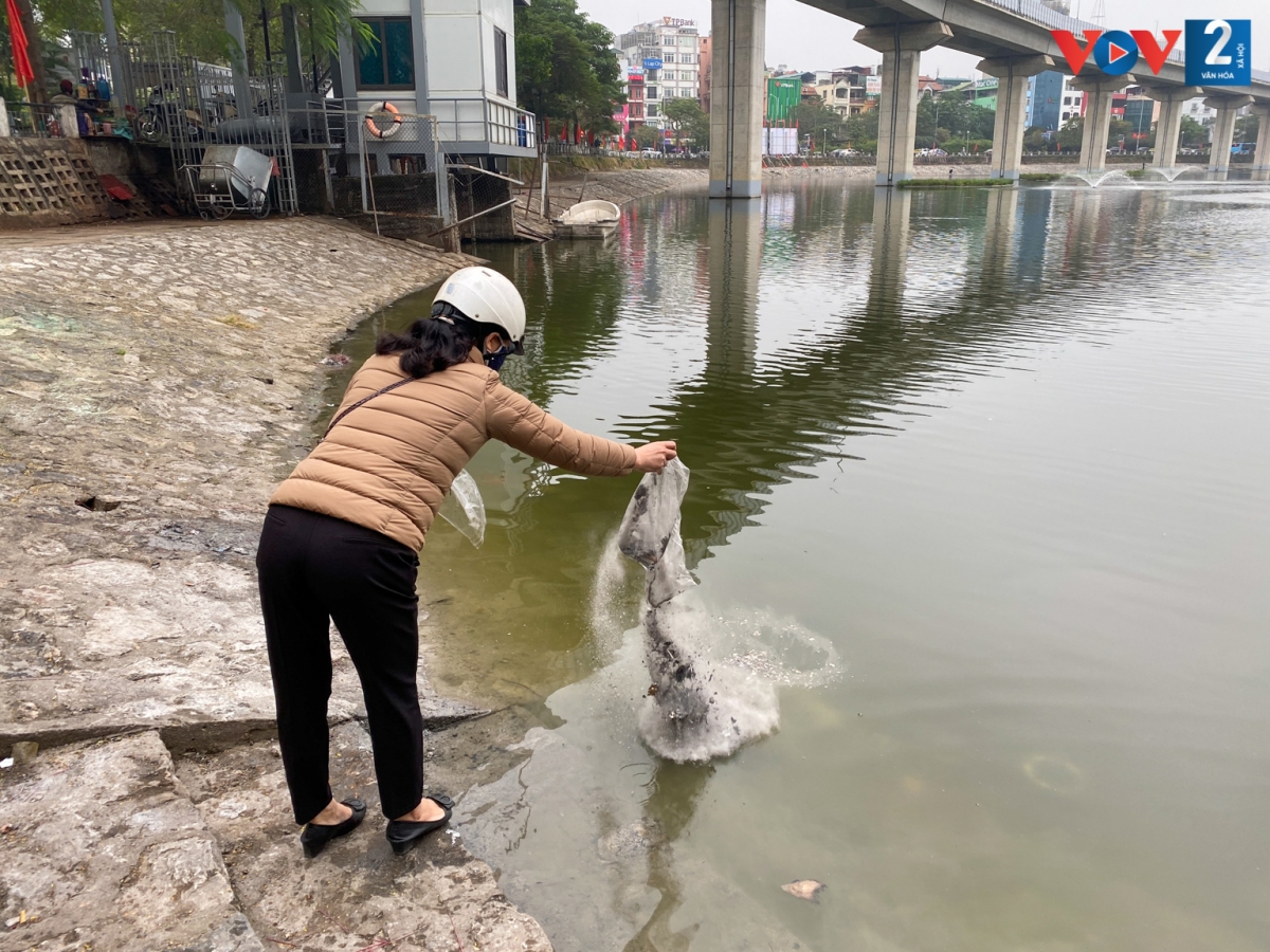 Tuy nhiên, ghi nhận tại hồ Hoàng Cầu sáng 25/1, sau cúng ông Công ông Táo, không ít người tỉa chân nhang cùng với tàn tro, mang ra thả xuống hồ cùng lúc thả cá.