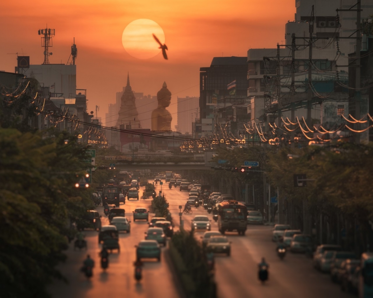 Tác phẩm "Con đường Phật"