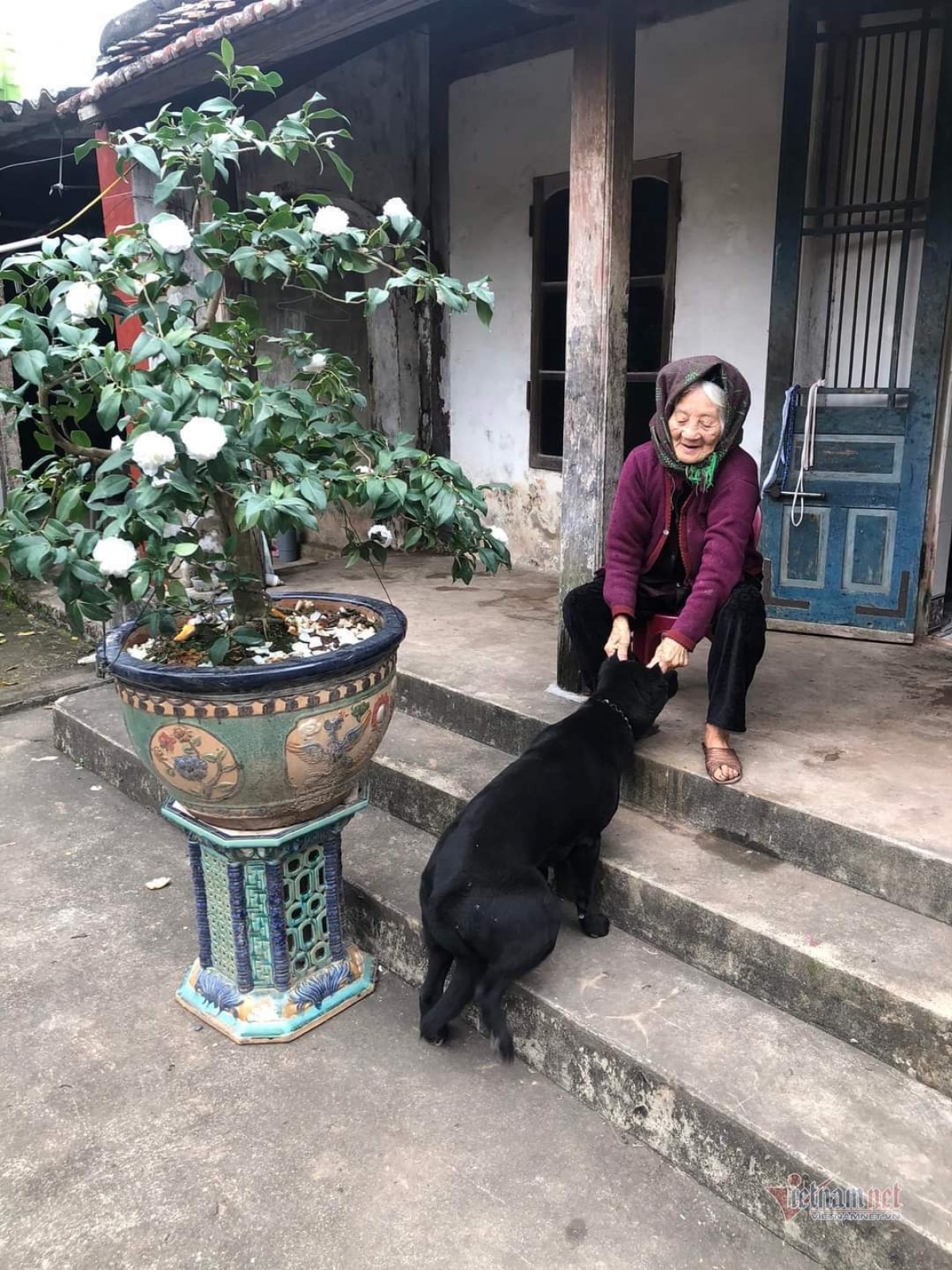 Cụ Họa chơi đùa với con chó mực