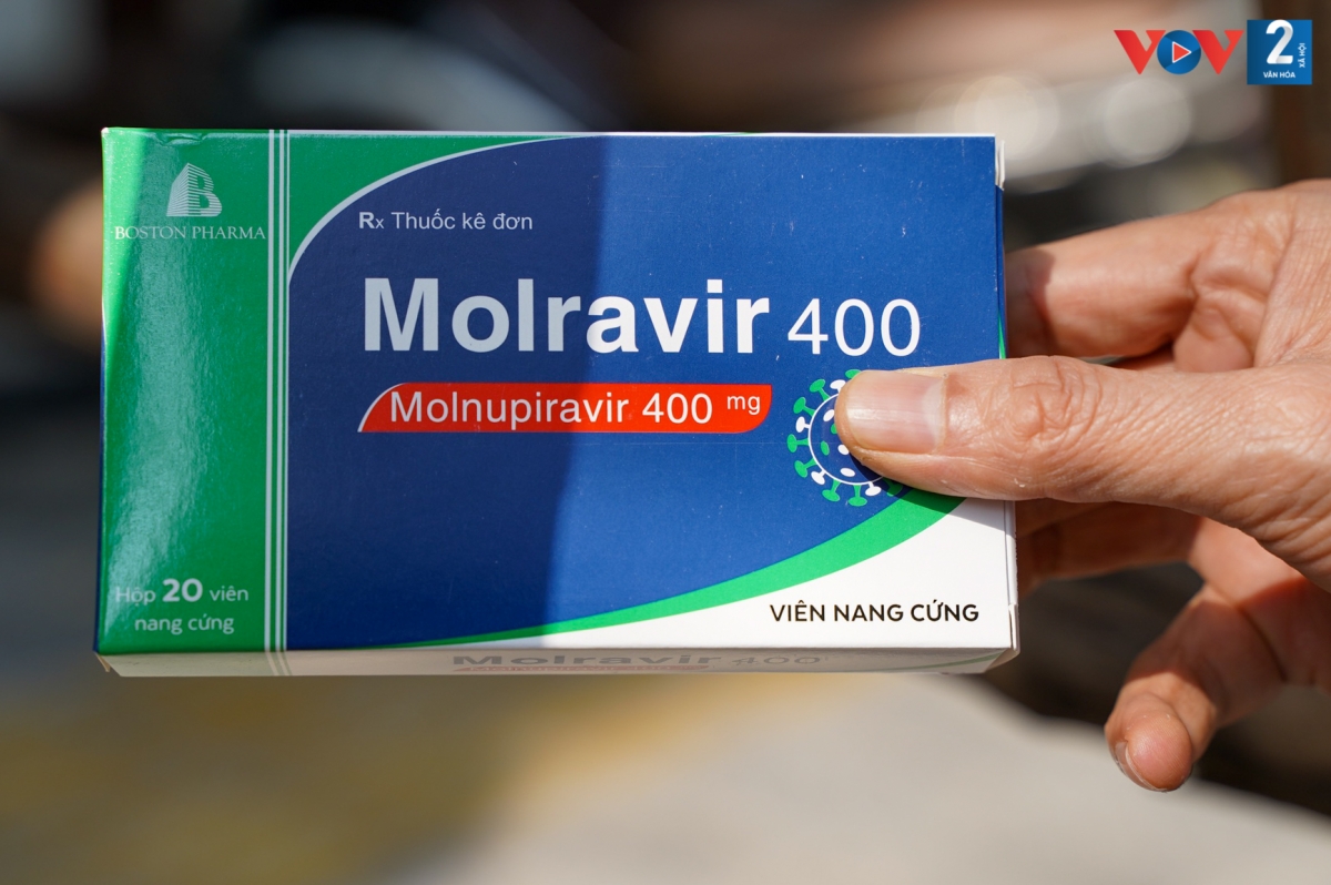 Molnupiravir được sử dụng để điều trị Covid-19 mức độ nhẹ đến trung bình ở người trưởng thành dương tính với xét nghiệm chẩn đoán SARS-CoV-2 và có ít nhất một yếu tố nguy cơ làm bệnh tiến triển nặng.