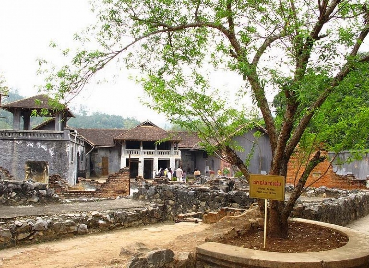 Cây đào Tô Hiệu tại nhà tù Sơn La vẫn luôn xanh tốt biểu tượng cho tinh thần bất khuất của những người cộng sản