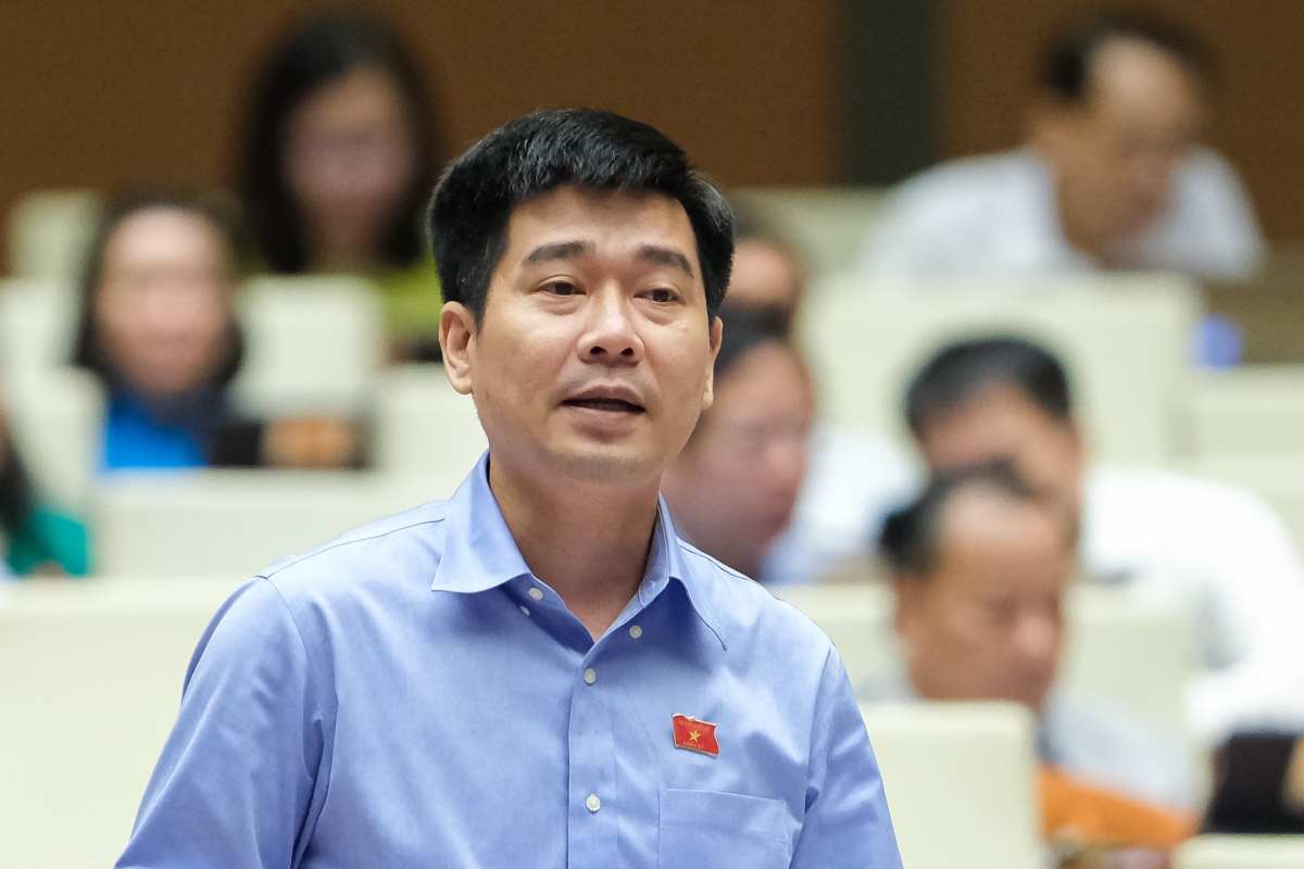 Đại biểu Lê Thanh Hoàn Ảnh: quochoi.vn