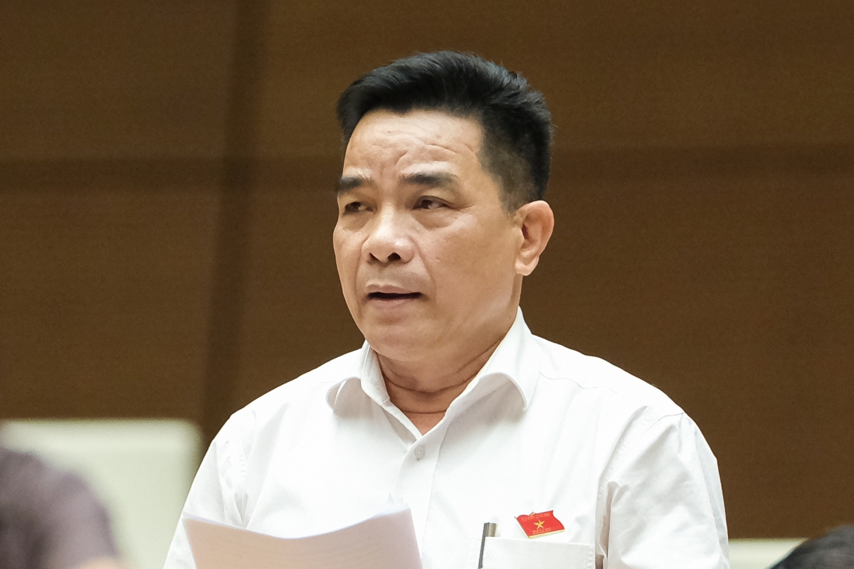 Đại biểu Lê Văn Dũng (Quảng Nam) Ảnh: quochoi.vn