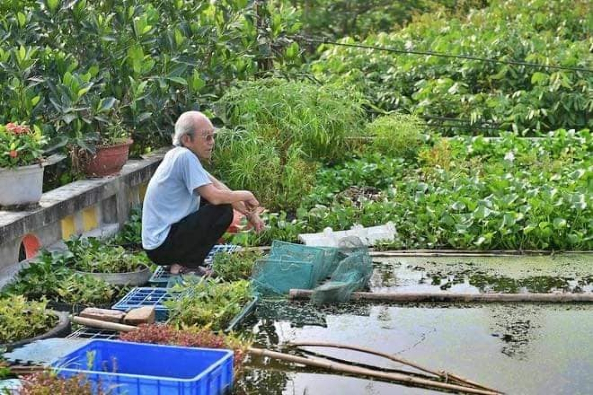 Dù đã 87 tuổi, nhưng ông Tuấn vẫn rất khoẻ mạnh