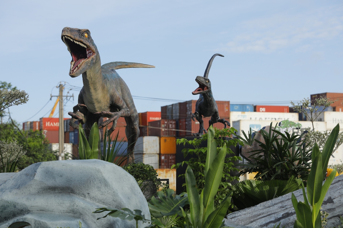 Hai chú khủng long được trưng bày thuộc chủng loại Velociraptor (gọi tắt là Raptor) với đặc tính di chuyển vô cùng nhanh nhẹn, thông minh, linh hoạt.