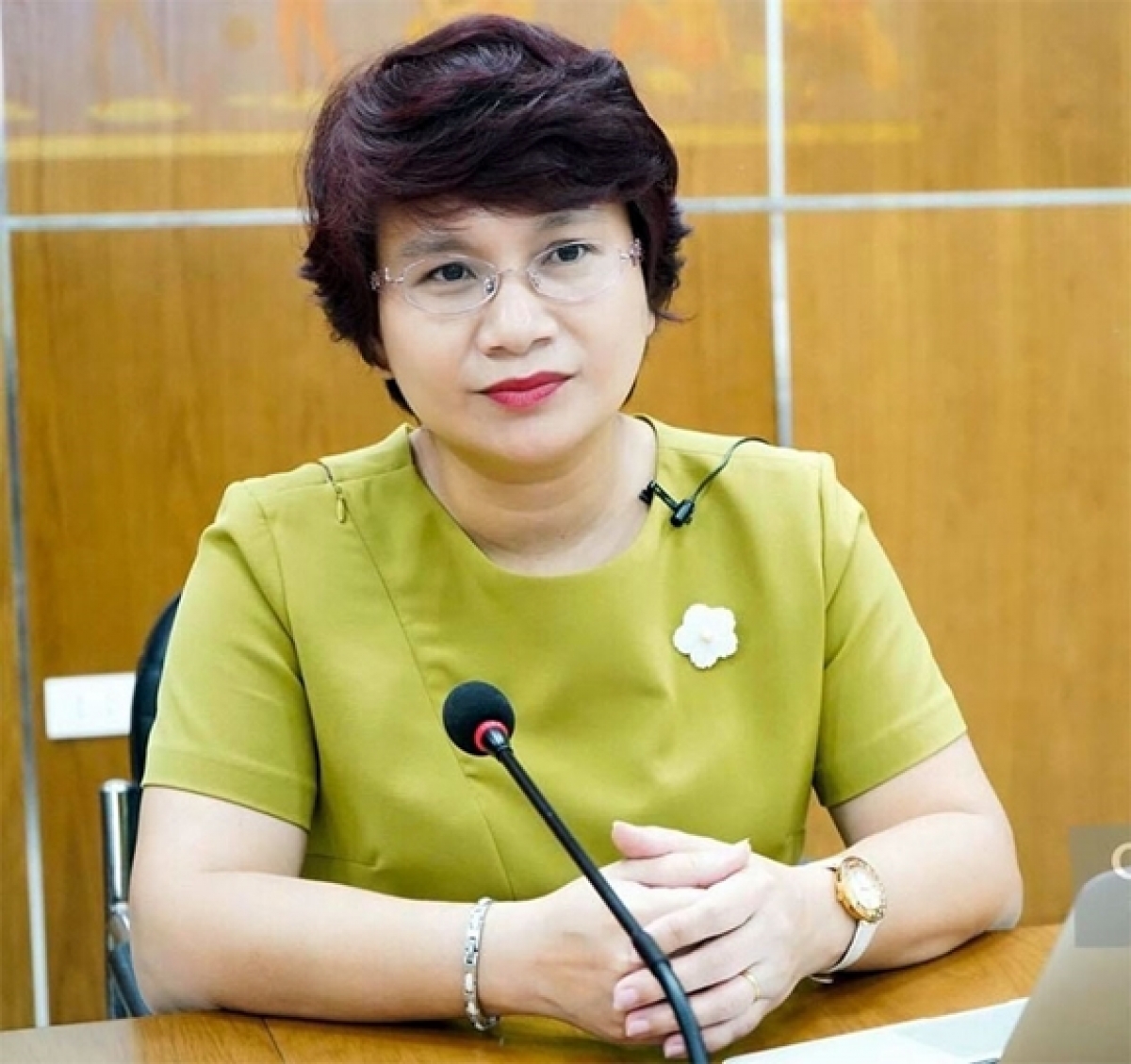 PGS.TS Nguyễn Thu Thủy, Vụ trưởng Vụ Giáo dục Đại học (Bộ GD-ĐT)