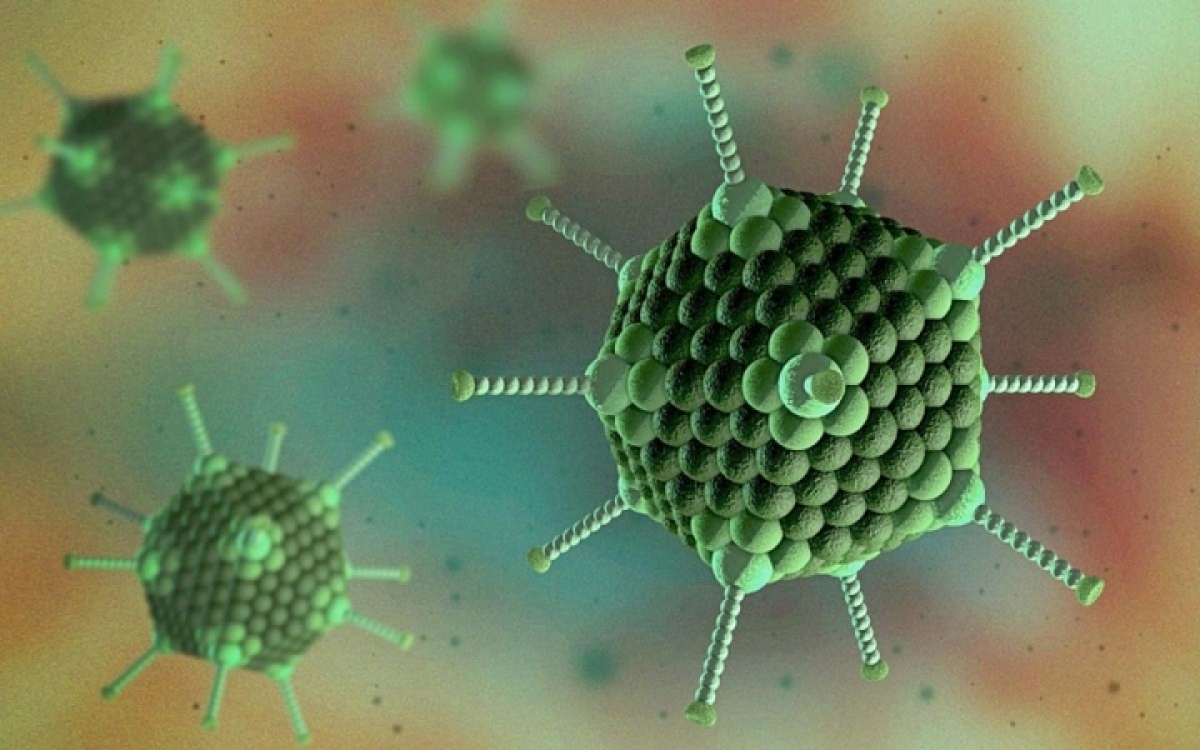 Ảnh minh họa virus cảm lạnh Adeno được phỏng đoán là một trong những nguyên nhân gây viêm gan