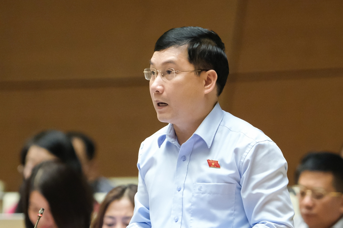 Đại biểu Lê Hoàng Anh ( đoàn ĐBQH tỉnh Gia Lai) Ảnh: quochoi.vn