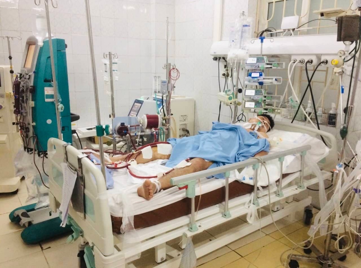 Bệnh nhân T.Đ.K chạy ECMO và điều trị nội khoa tích cực ngày thứ 3