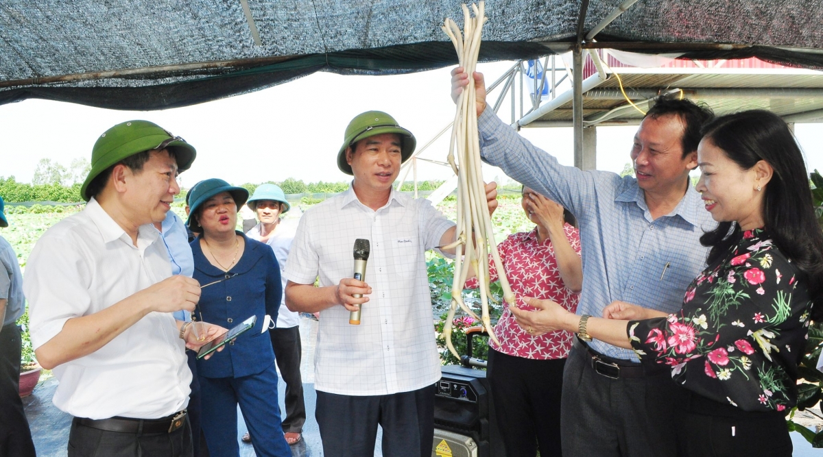 PGS.TS Đặng Văn Đông giới thiệu về mô hình HTX Hoa sen Vân Đài