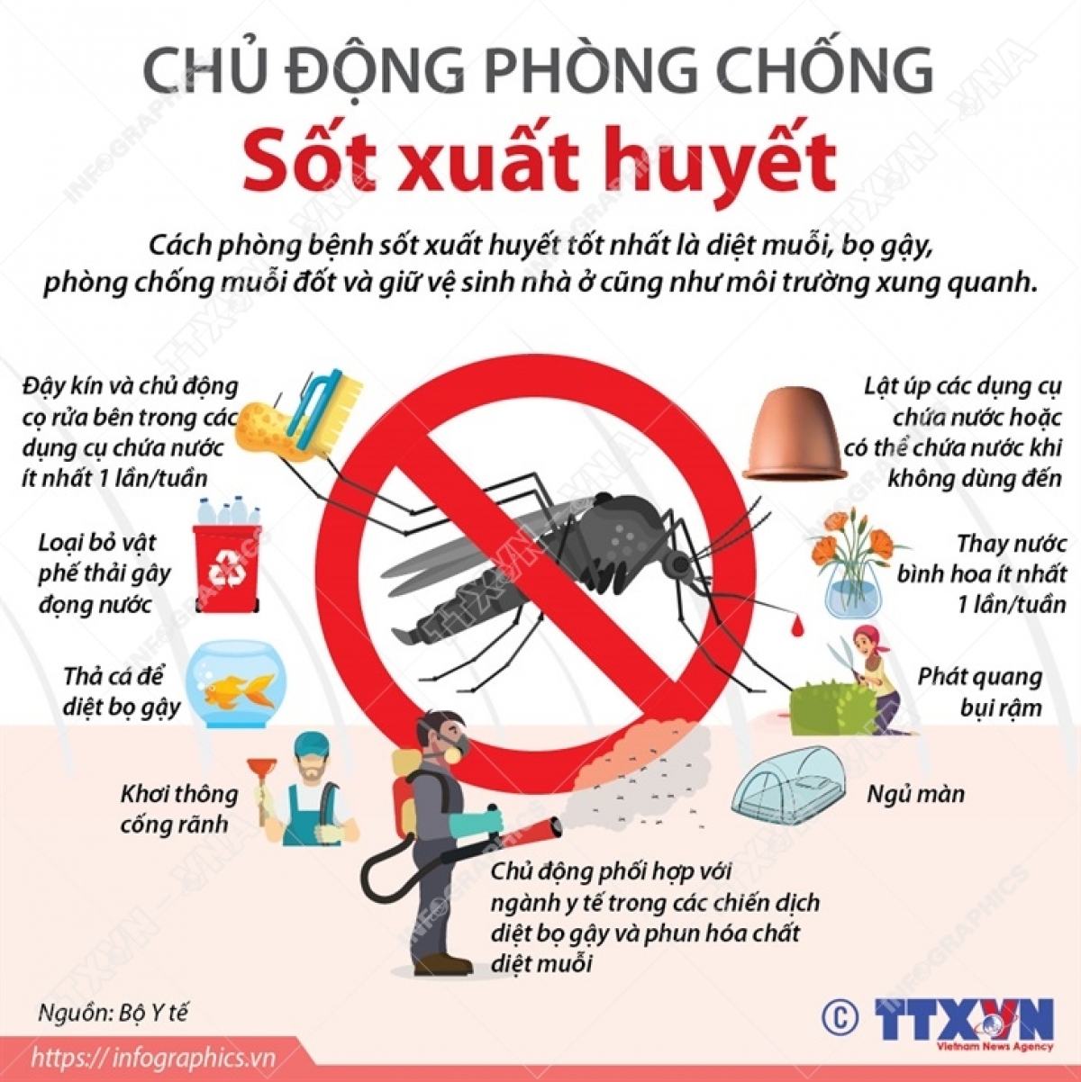 Khuyến cáo phòng chống sốt xuất huyết của Bộ Y tế