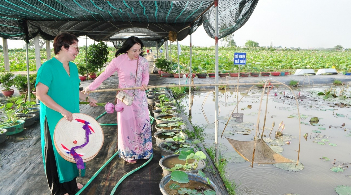 Du khách thích thú được trực tiếp thao tác kéo vó tôm...