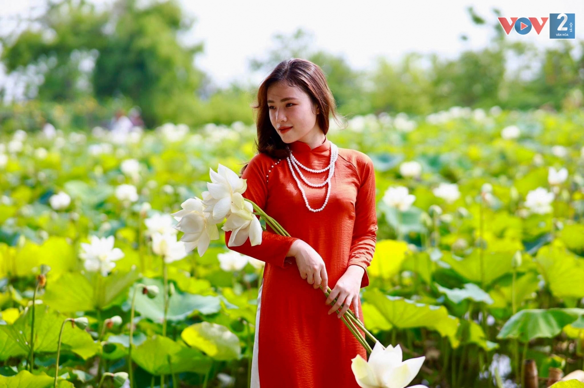 Nhiều bạn trẻ không ngại đường xa lẫn thời tiết nắng mưa nắng bất thường, sẵn sàng tìm đến, tạo dáng để có cho mình những tấm ảnh đẹp cùng sen.