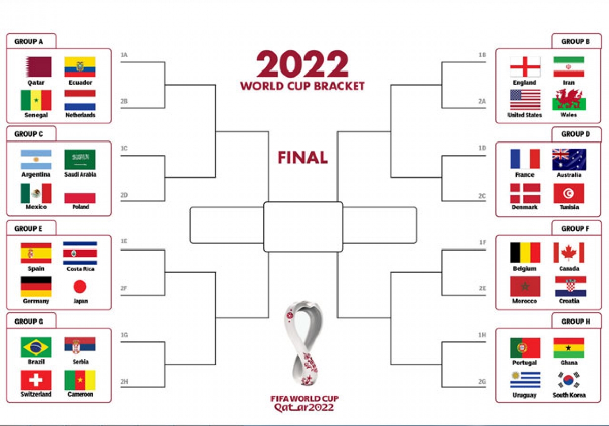 Nhánh đấu tại World Cup 2022