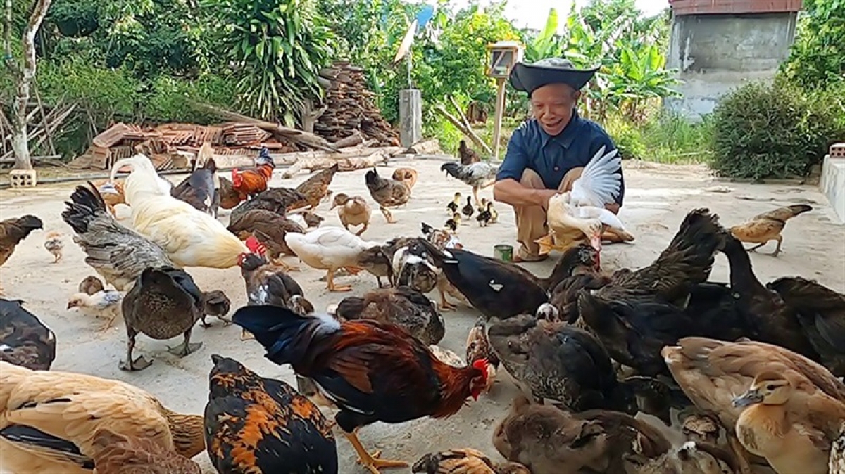 Già làng Hạnh chăm lo phát triển kinh tế