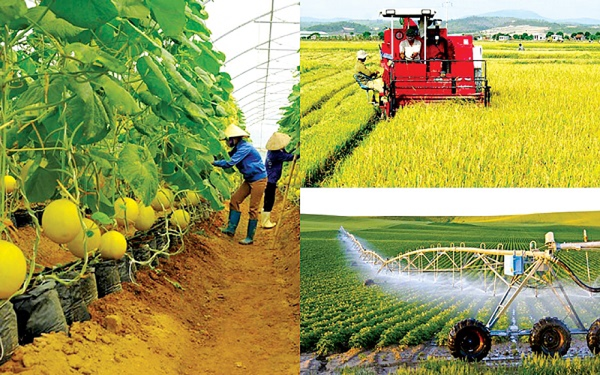 Ngoài chuyên môn, tay nghề, người lao động rất cần được trang bị những kiến thức về kinh doanh, quản trị. (Ảnh: minh họa)
