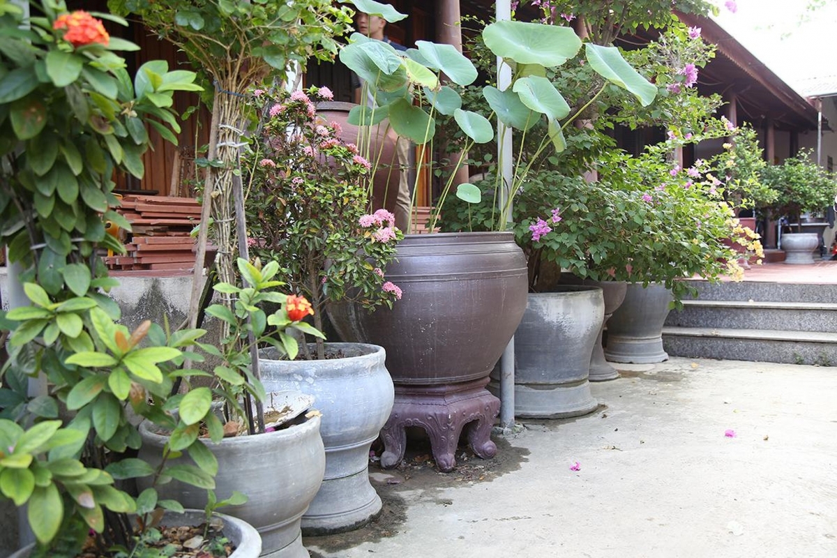 Những chậu cây được làm từ đôi bàn tay khéo léo của người thương binh giàu nghị lực
