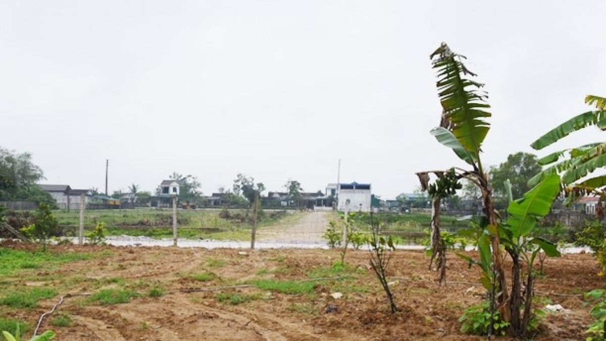 Phần đất (nhìn từ trong vườn ra) bà Nhung hiến tặng mở đường.