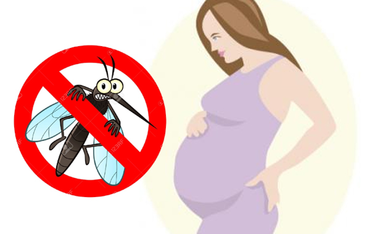 Phòng tránh muỗi đốt để phòng sốt xuất huyết