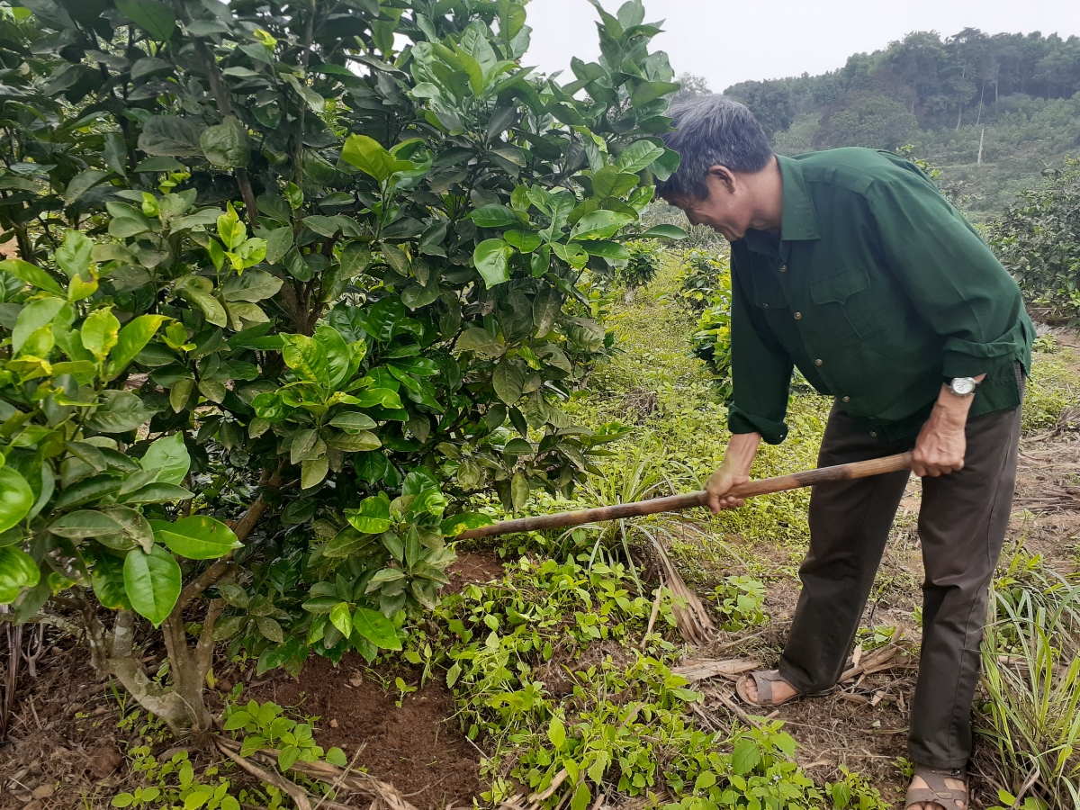 Nhiều thương binh, dù tan nhưng không phế, vẫn luôn cần mẫn,chăm chỉ lao động