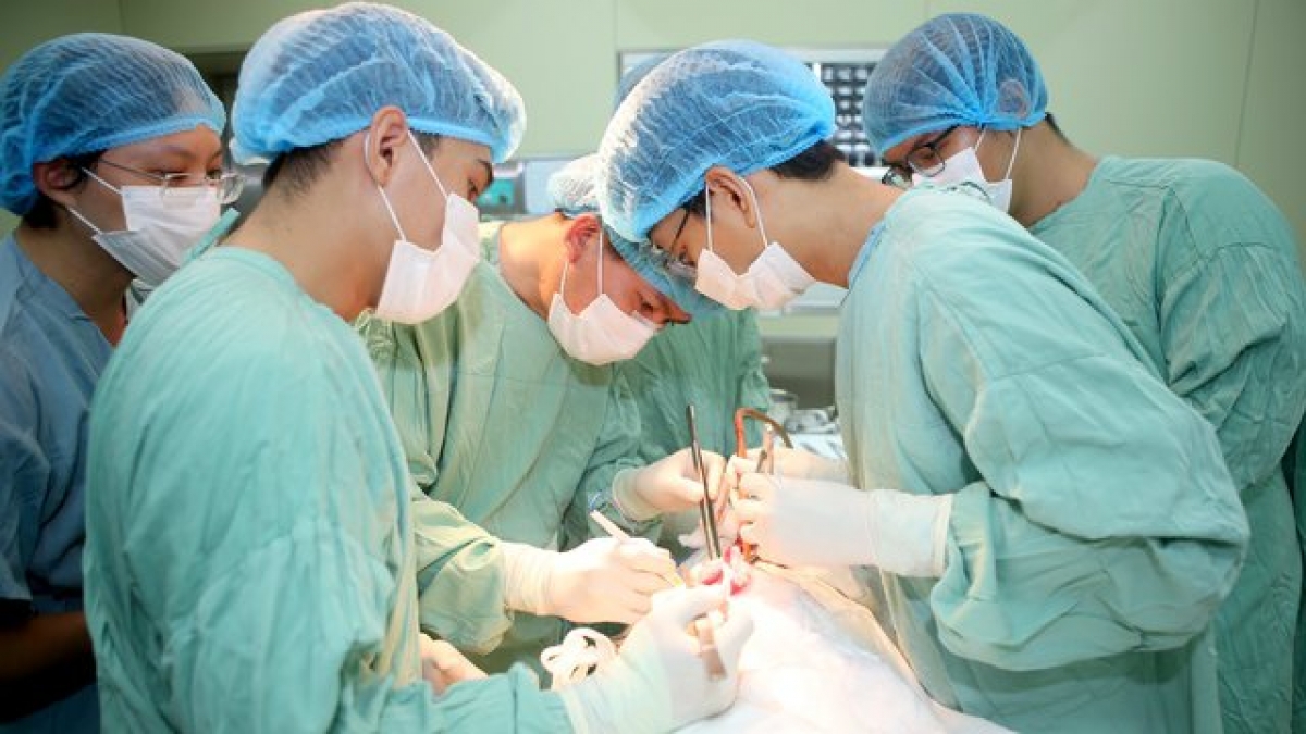 Các bác sĩ đang thực hiện ghép thận cho người bệnh.