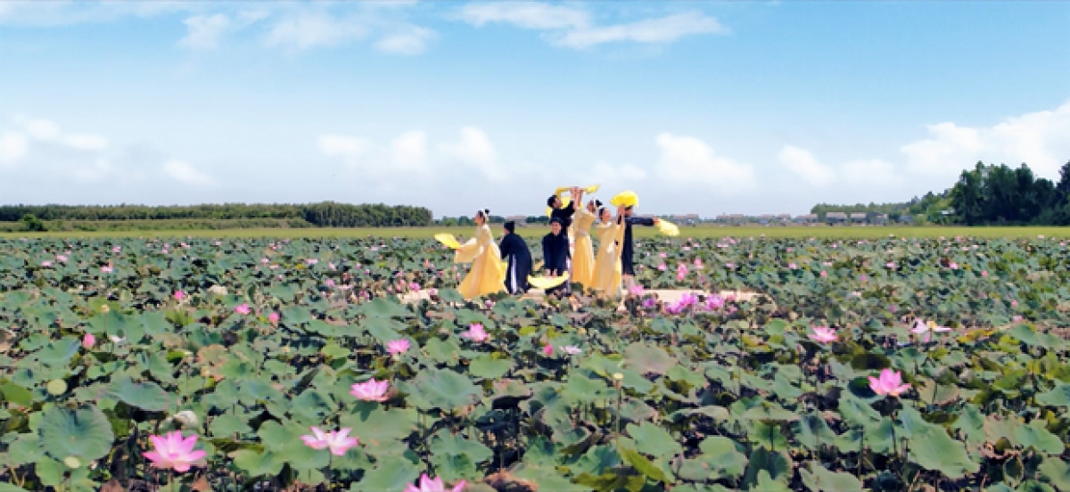 Đầm sen Đồng Tháp