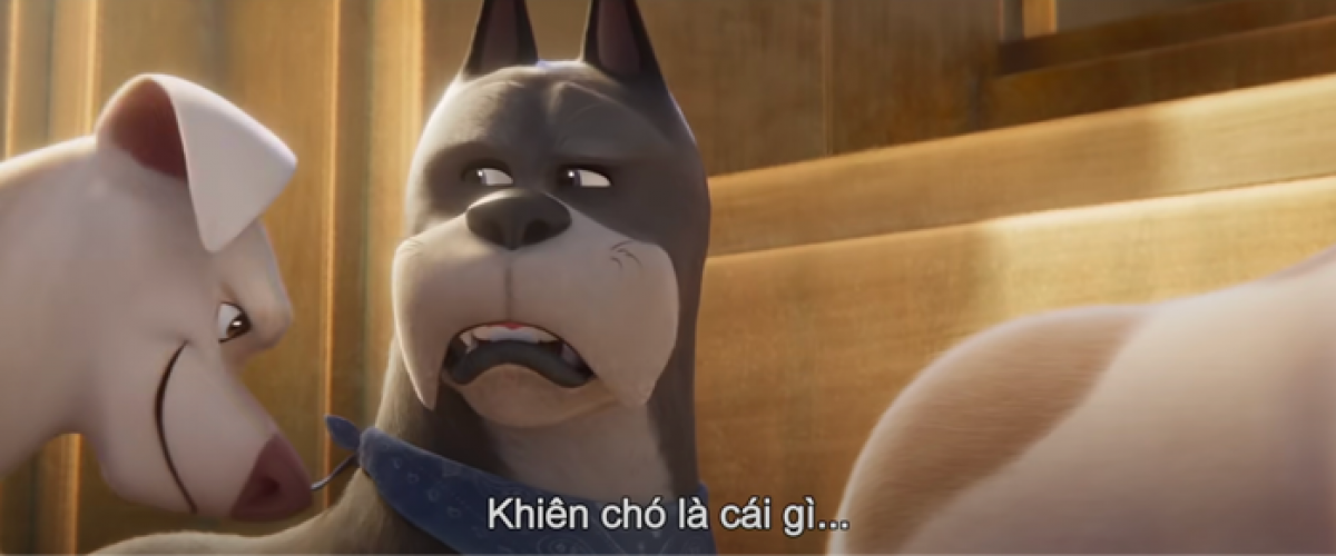 Ace: Khiên chó là cái gì…