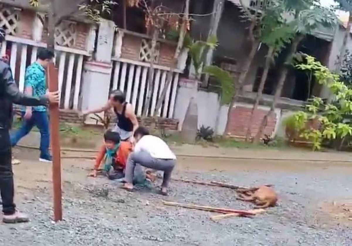 Nhiều người trở thành nạn nhân khi bị chó dữ tấn công
