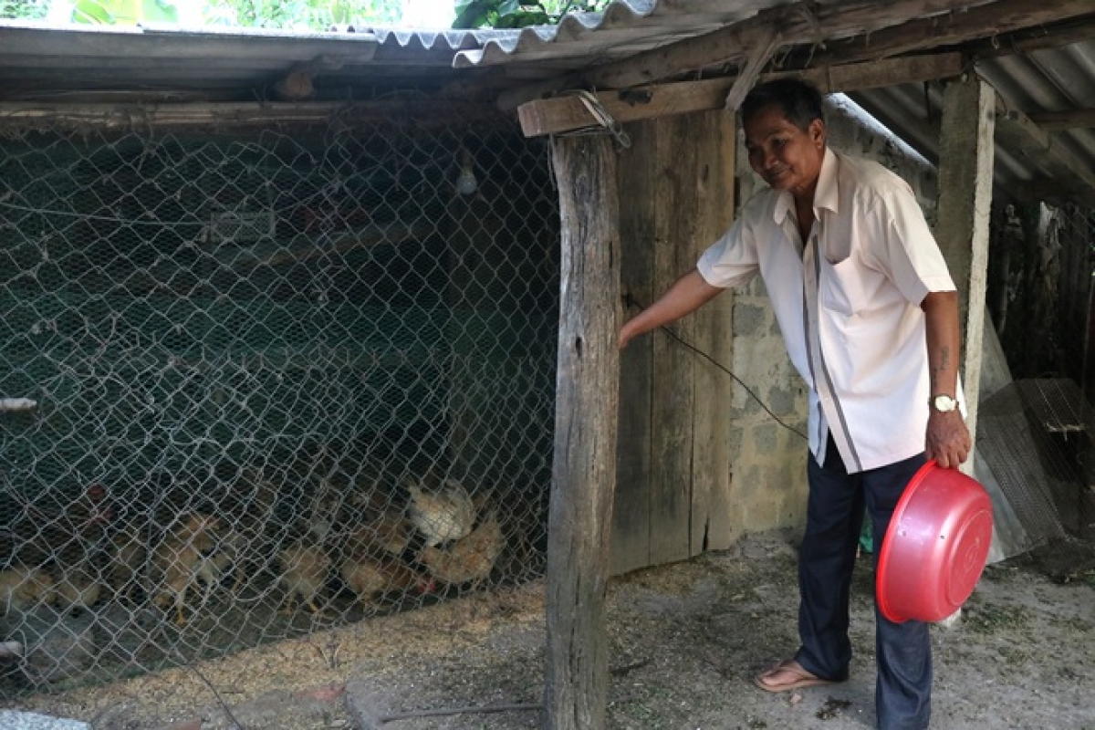 Để có được cuộc sống hiện tại, Thương binh Trần Ngọc Hòa đã phải nỗ lực rất nhiều, làm đủ thứ việc từ trồng rừng đến chăn nuôi.