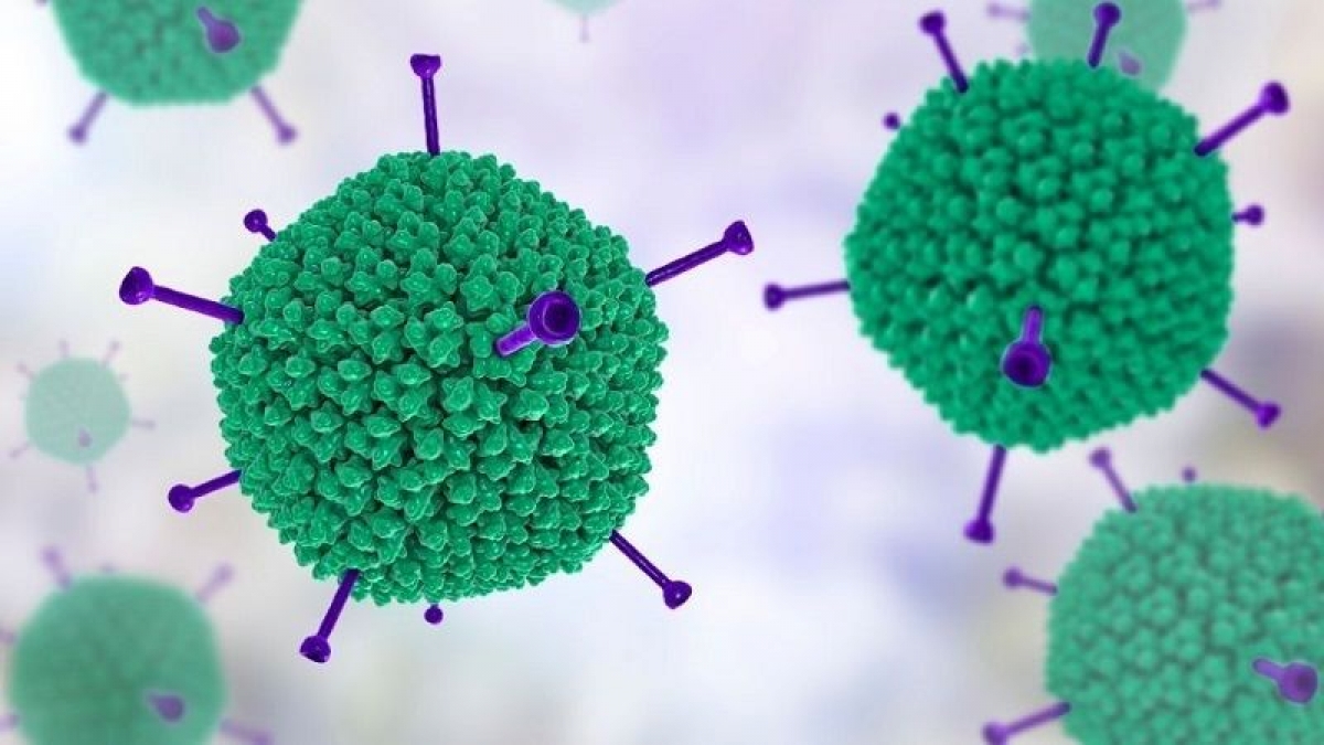Adenovirus được biết đến là nguyên nhân gây nên các bệnh liên quan đến đường hô hấp phổ biến trên thế giới