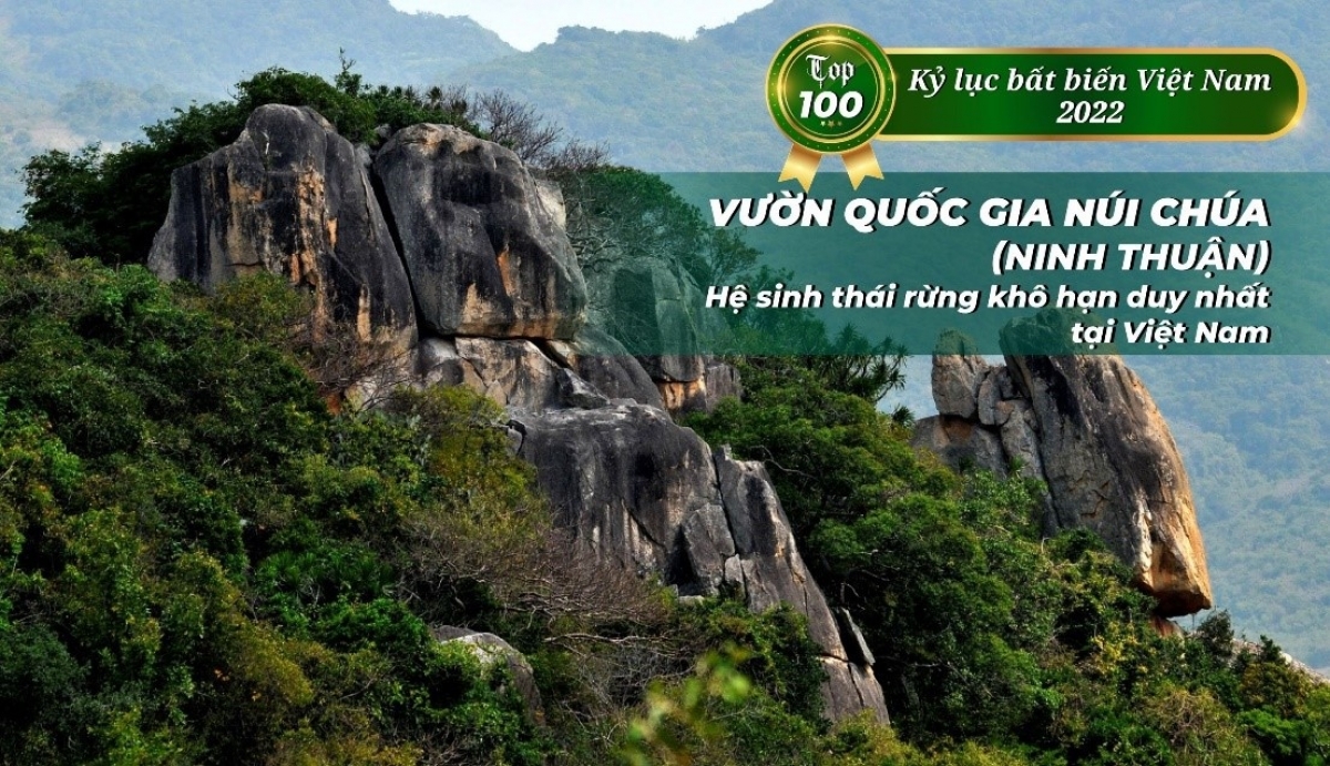 Vườn quốc gia Núi Chúa (Ninh Thuận) là khu dự trữ sinh quyển thế giới duy nhất ở Việt Nam đại diện cho hệ sinh thái rừng khô hạn nhiệt đới