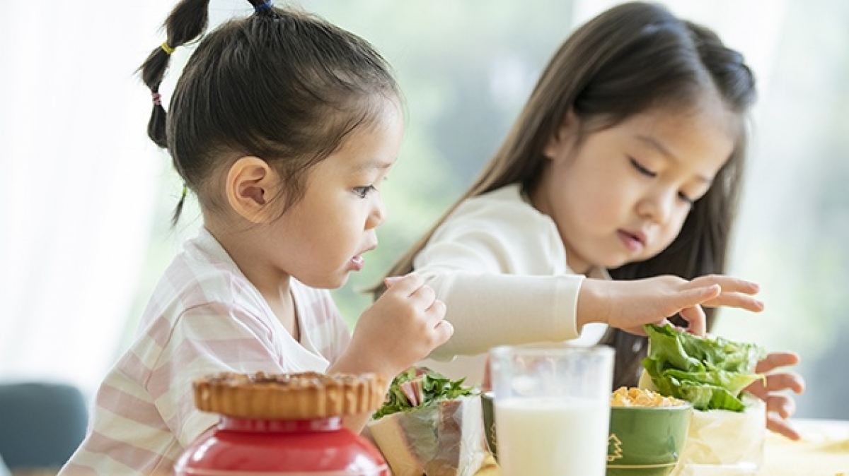Thực hiện dinh dưỡng hợp lý vì một Việt Nam khỏe mạnh, phát triển toàn diện