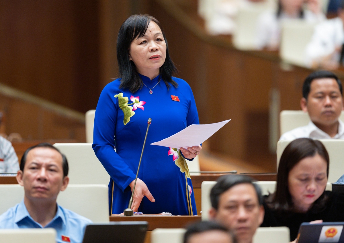 Đại biểu Nguyễn Thị Mai Hoa (đoàn Đồng Tháp)