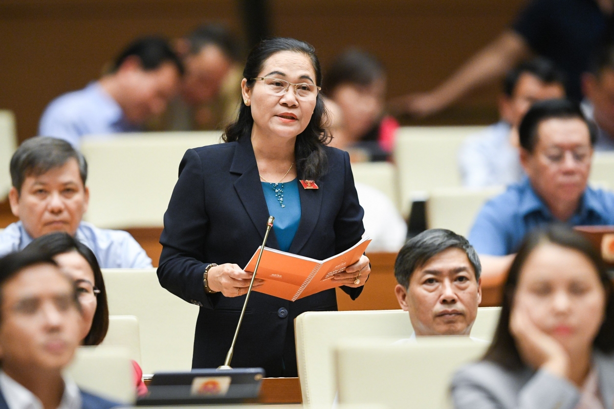 Đại biểu Nguyễn Thị Lệ - Đoàn ĐBQH TP. Hồ Chí Minh