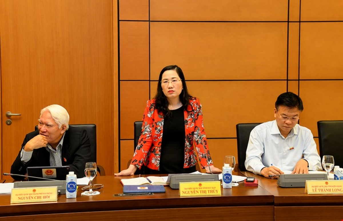 Đại biểu Nguyễn Thị Thủy (Đoàn Bắc Kạn)
