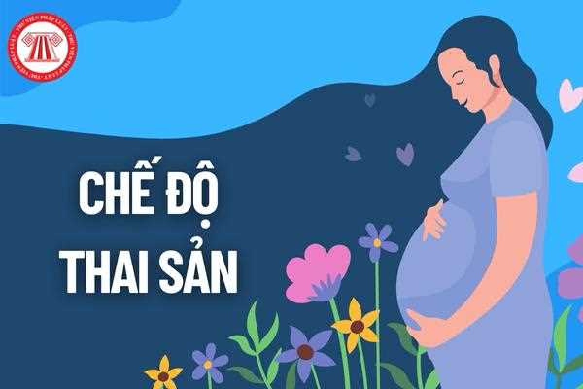 Người lao động muốn được hưởng chế độ thai sản cần đáp ứng đủ các điều kiện
theo quy định của Điều 31 Luật Bảo hiểm xã hội