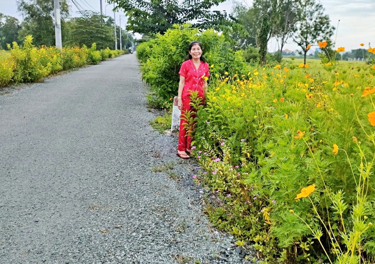 Hiện, các loài hoa bà Mai trồng đều phát triển, nở hoa rực rỡ.