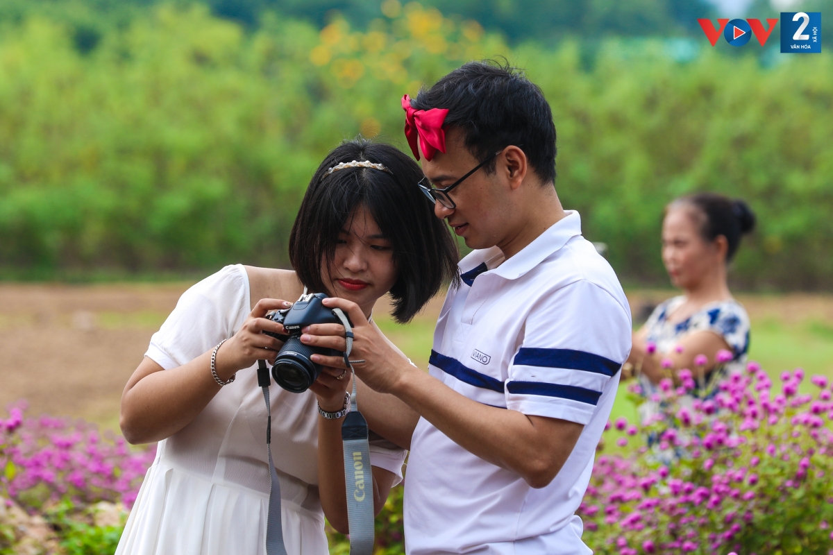 So với năm ngoái, năm nay vườn hoa thu hút được nhiều khách tham quan. Vé vào cửa là 70.000 đồng một người, có thể dạo chơi và chụp ảnh cả ngày, không hạn chế thời gian.