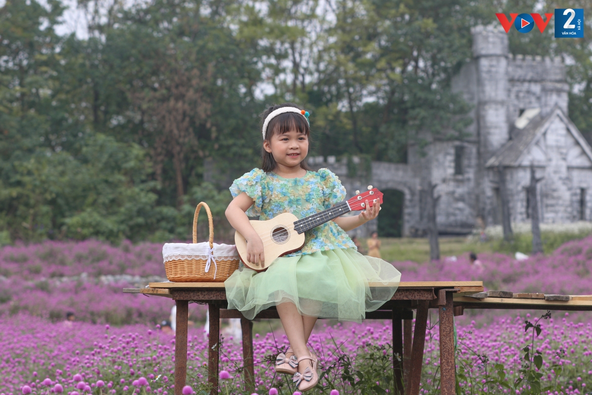 Nhiều gia đình trẻ đưa con nhỏ tới ngắm hoa, vui chơi, chụp ảnh.