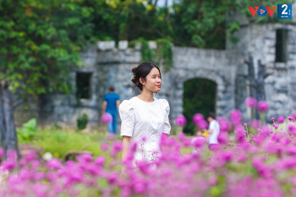 Bạn Huyền Anh (quận Hoàng Mai) chia sẻ: “Khu vườn nơi đây khá rộng, có nhiều góc sống ảo và đây là màu hoa mình yêu thích, hy vọng sẽ có bộ ảnh ưng ý”.