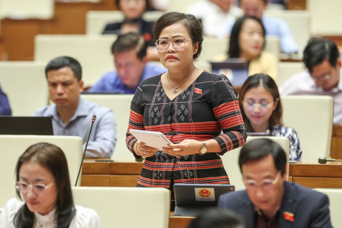 Đại biểu Nguyễn Thị Sửu, Phó trưởng đoàn ĐBQH Thừa Thiên Huế