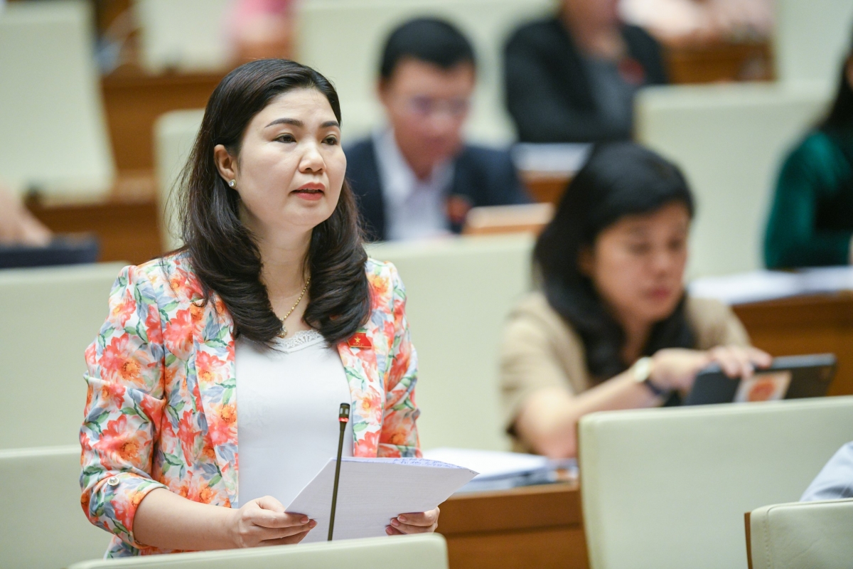 Đại biểu Trần Thị Vân (Đoàn Bắc Ninh)