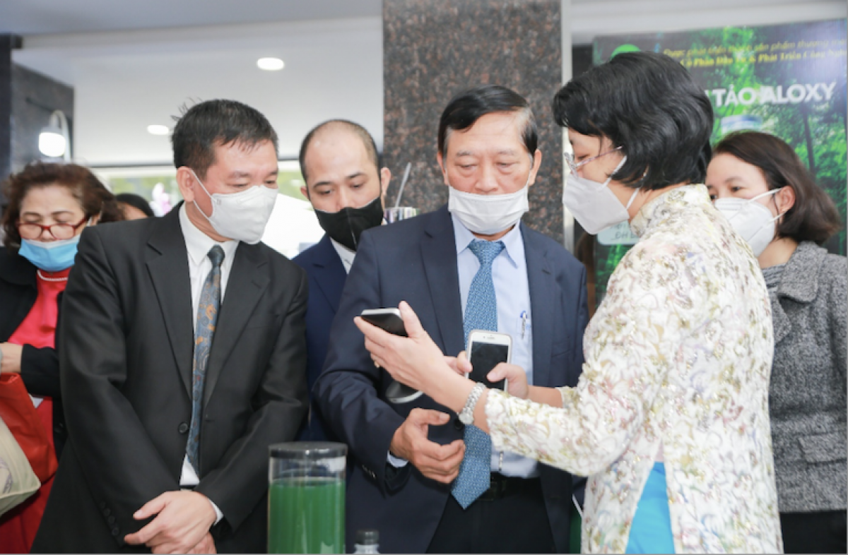 Đèn tảo tại ngày hội Techfest 2021
