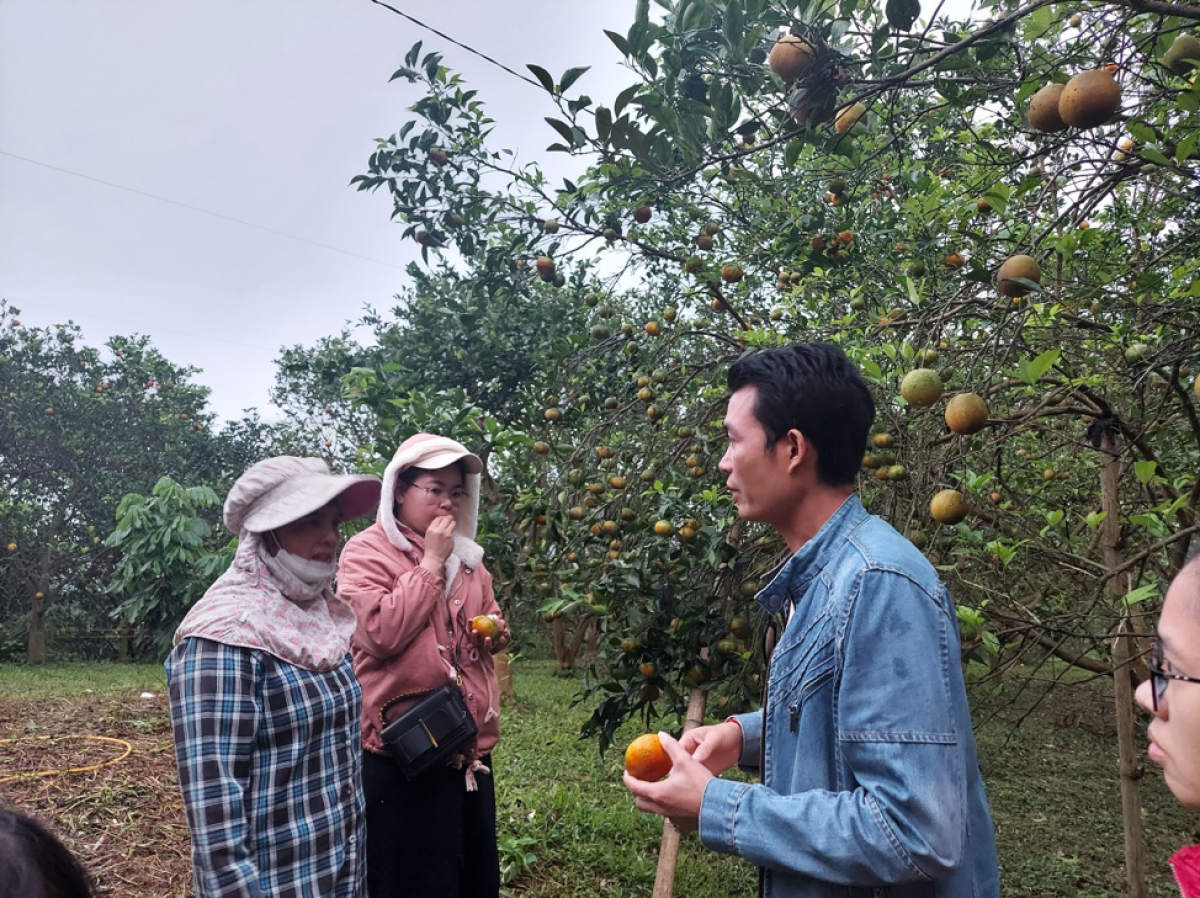 Souliya Chanthavongsor, Lưu học sinh Lào (áo xanh)